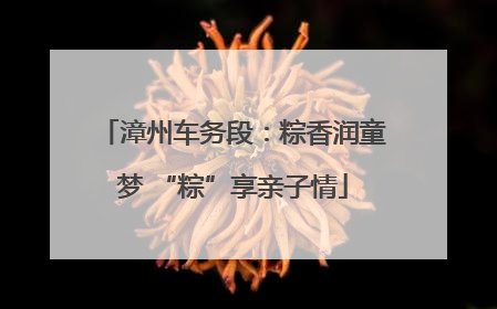漳州车务段：粽香润童梦 “粽”享亲子情